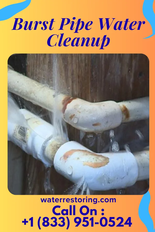 Burst Pipe Water Cleanup in St. George, SC