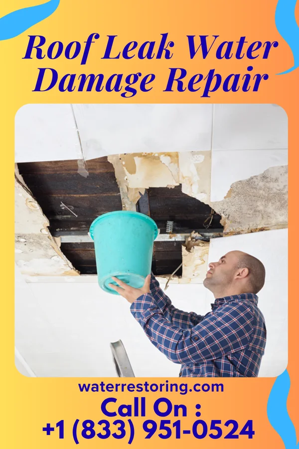 Roof Leak Water Damage Repair in St. George, SC