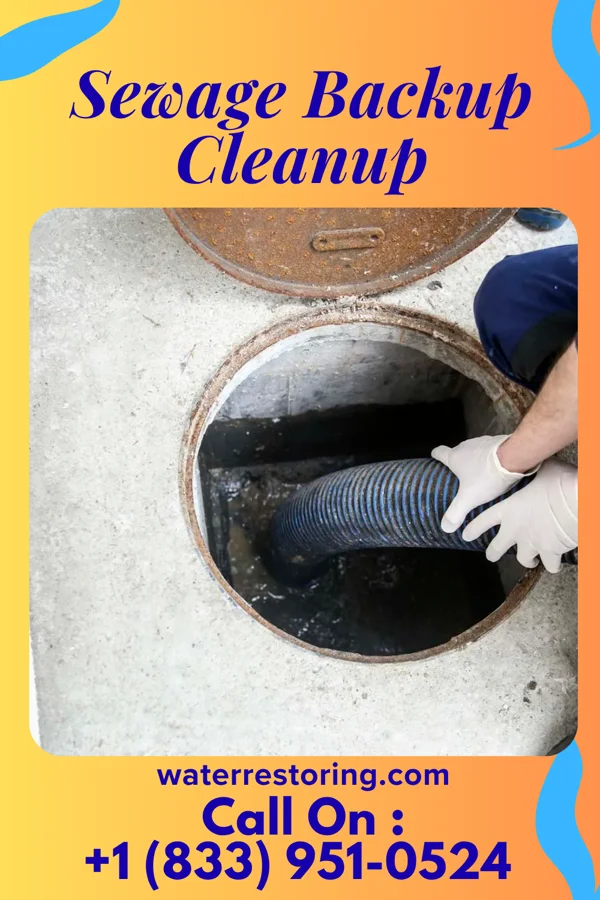 Sewage Backup Cleanup in St. George, SC
