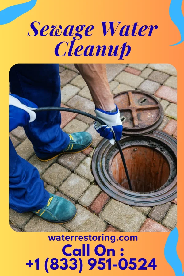 Sewage Water Cleanup in St. George, SC