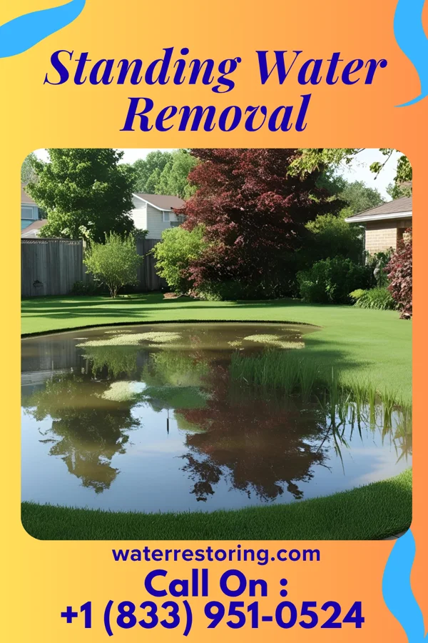 Standing Water Removal in St. George, SC